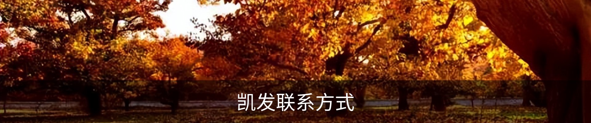 凯发联系方式